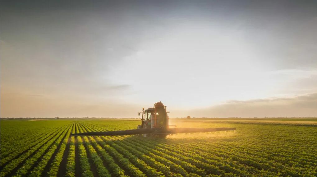 Valor da Produção Agropecuária 2020 é estimado em R$ 771,4 bilhões