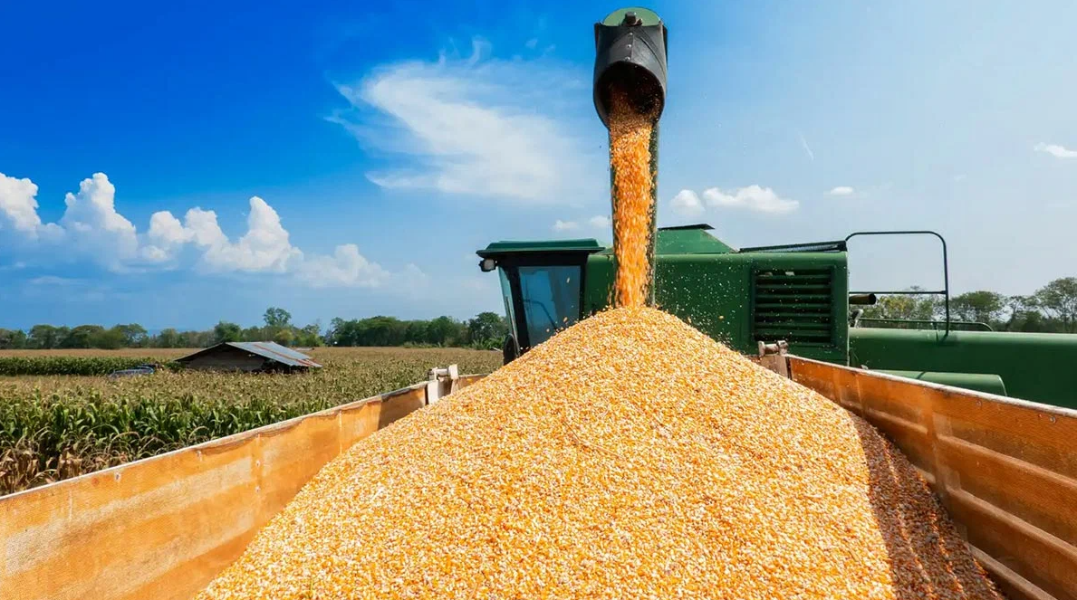 Paraná mantém previsão de 24,3 milhões de toneladas para safra de grãos de verão