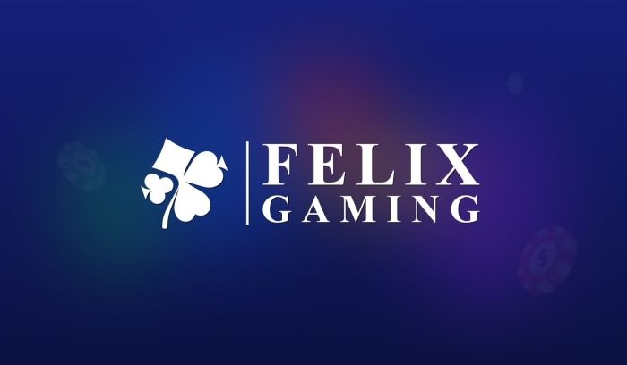 Exploring Felix Gaming: A Rising Star in Casino Software Development